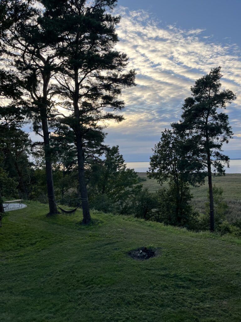 widok na Zalew Wiślany