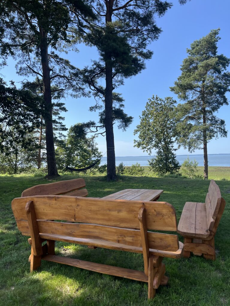 stół i ławki w ogrodzie